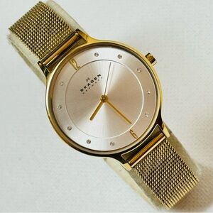 Skagen Anita Crystal Dial 30mm Women's Midsized Gold Watch Mesh Band SKW2150